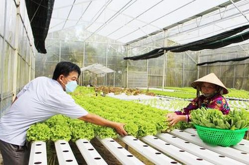 Giảm nghèo với điểm tựa HTX và du lịch nông thôn