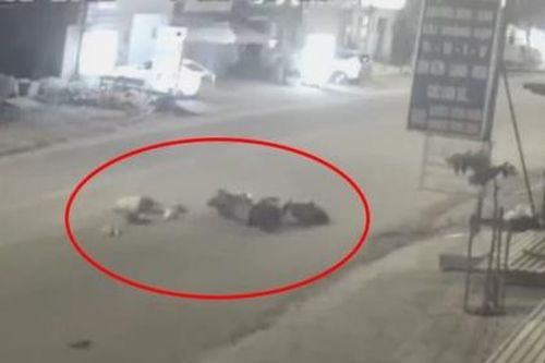Clip: Tài xế xe máy sụp 'ổ gà' thiệt mạng ở TP.HCM