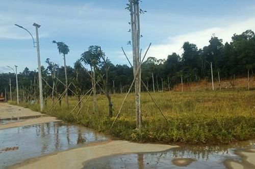 Loạn phân lô, bán nền trái quy định tại xã Cửa Cạn (TP Phú Quốc): Cần làm rõ trách nhiệm của chính quyền