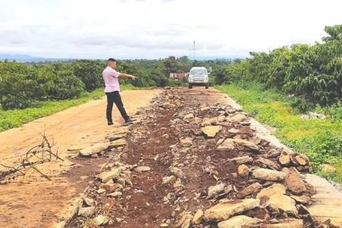 Hậu phân lô bán nền: Đất thổ cư bỏ hoang, dân đi ở trọ