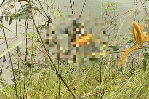 Điều tra vụ thi thể nữ giới nổi trên mặt hồ Hàm Thuận