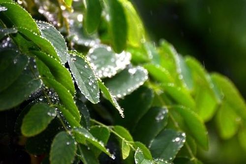 Những dòng nhật ký gửi vào vũ trụ