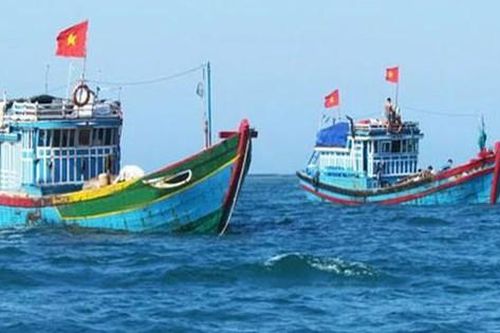 Hỗ trợ ngư dân sử dụng dịch vụ viễn thông di động hàng hải