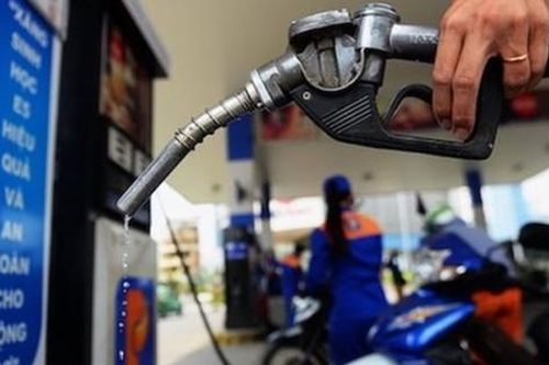 Ngân hàng phải đáp ứng nhu cầu vốn cho doanh nghiệp đầu mối kinh doanh xăng dầu