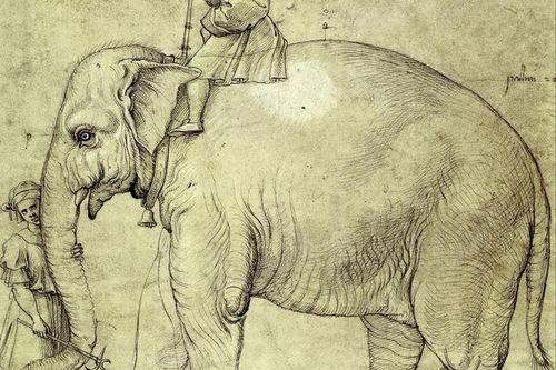 Giải mã xác voi bí ẩn chôn vùi bên dưới thành quốc Vatican