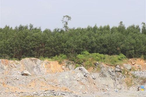 Sau phản ánh của TTXVN, Quảng Ngãi làm rõ tin DN bị cản trở sản xuất