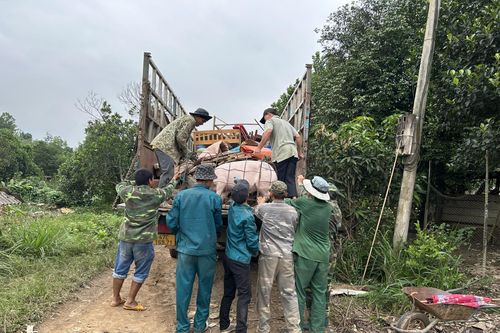 Đắk Lắk: Cưỡng chế giải phóng mặt bằng dự án hồ Krông Pách Thượng