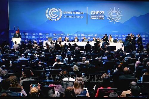 COP27: Colombia cam kết đóng góp hàng tỷ USD bảo vệ rừng Amazon