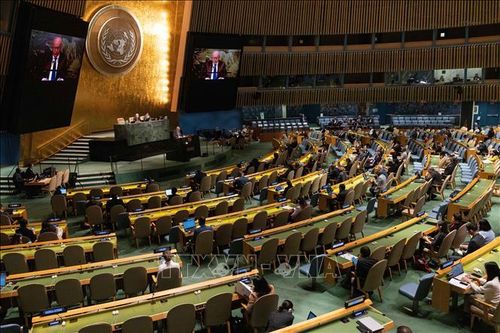 Việt Nam kêu gọi tăng cường hỗ trợ tài chính cho người tị nạn Palestine