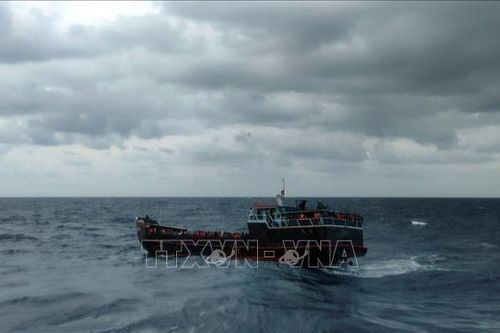 Một tàu cá chở hơn 300 người Sri Lanka gặp nạn ngoài khơi biển Việt Nam