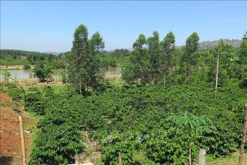 Kon Tum yêu cầu giải quyết dứt điểm việc hỗ trợ, bồi thường hộ dân bị ảnh hưởng bởi thủy điện xả lũ