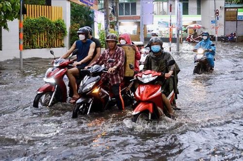 Triều cường ven biển Nam Bộ có thể lên cao trên 3m