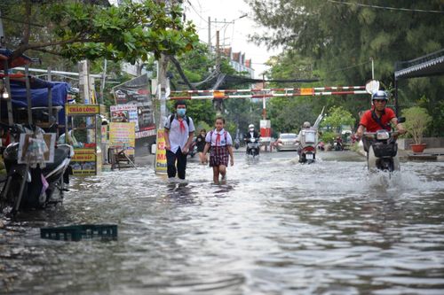 TP Hồ Chí Minh: Triều cường vượt báo động III, hàng loạt tuyến đường ngập sâu