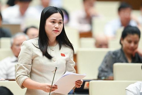 ĐBQH Phạm Thị Xuân đề nghị tiếp tục tăng cường các biện pháp đấu tranh, trấn áp các loại tội phạm