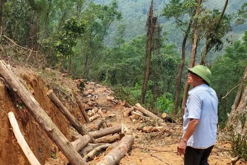 Nhiều hộ dân tự ý chuyển đổi đất rừng trồng để xây dựng công trình trái phép
