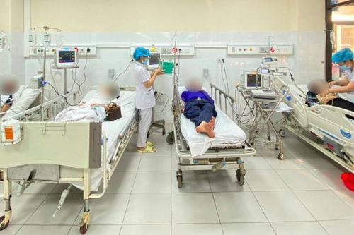 Hòa Bình: 10 người nhập viện vì ong khoái tấn công