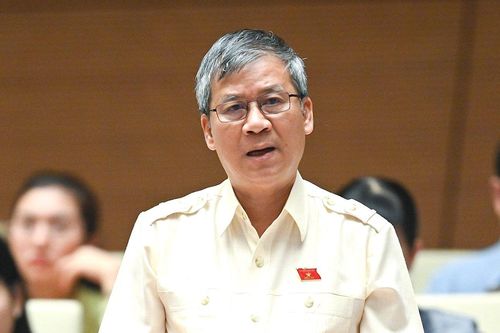 ĐB Nguyễn Anh Trí: 'Tham nhũng vặt như vòi bạch tuộc, làm chùn bước nhà đầu tư'