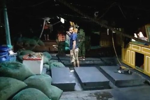 Hàng loạt tàu cá khai thác thủy sản tận diệt trên vùng biển Quảng Ninh