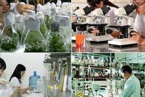 Hướng dẫn mới về thuế liên quan đến Quỹ phát triển khoa học và công nghệ của doanh nghiệp