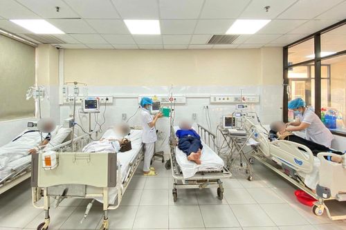 Nhiễm độc nặng vì bị đàn ong tấn công