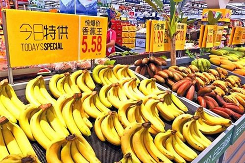 Chuối tươi Việt Nam được xuất khẩu sang Trung Quốc