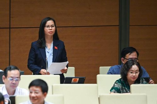 Án tình ái, sát hại người thân… làm 'nóng' nghị trường Quốc hội