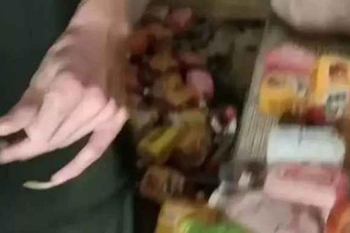 Đến thu tiền, chủ nhà trọ 'ngất xỉu' với cảnh trong phòng