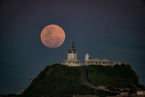 Đẹp mê loạt ảnh 'Trăng máu hải ly' huyền ảo trên khắp hành tinh