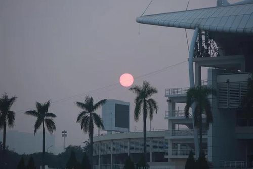 Chiêm ngưỡng hình ảnh ấn tượng về 'Trăng máu Hải ly' ở Hà Nội
