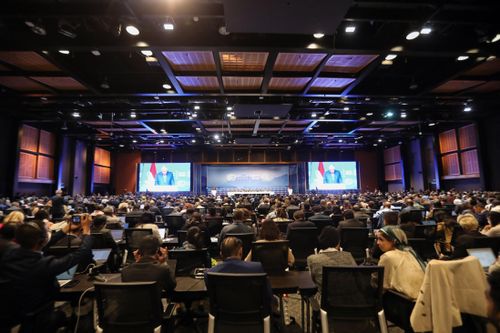 COP27: EU thiết lập quan hệ đối tác lâm nghiệp với 5 quốc gia