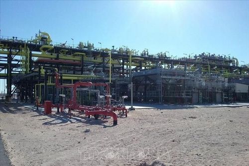 Việt Nam đàm phán giai đoạn 2 dự án Liên doanh khai thác dầu khí tại Algeria