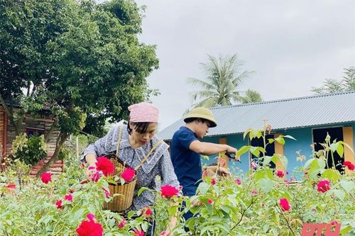 Biến hoa hồng thành mỹ phẩm