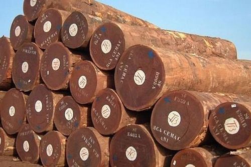Mỗi năm chi 500 triệu USD nhập khẩu gỗ nguyên liệu từ châu Phi