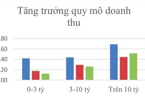 Doanh nghiệp lớn tăng mạnh quy mô tài sản trong đại dịch COVID-19