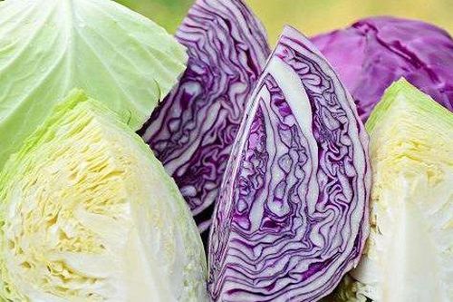 Bắp cải vào mùa ngon ngọt, nhưng 7 nhóm người này được khuyến cáo không nên ăn