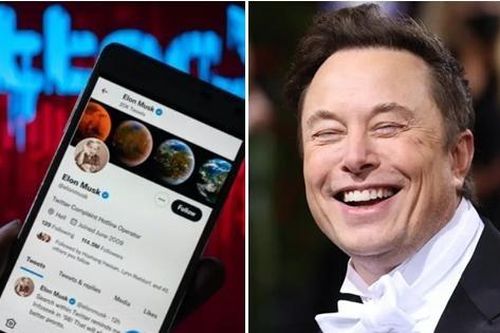 Elon Musk làm loạn Twitter: Đổi tick xanh thành tick xám, thừa nhận 'những việc ngớ ngẩn'