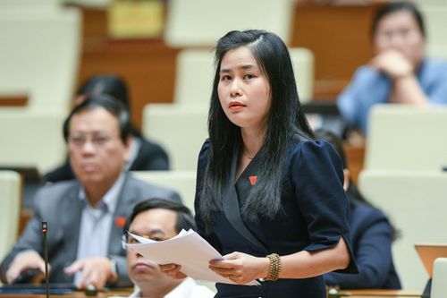 ĐBQH đề nghị truy trách nhiệm người tiêu dùng nếu biết hàng giả, hàng nhái vẫn dùng