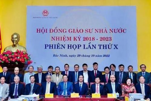 Lý do nào ứng viên xét giáo sư, phó giáo sư năm 2022 không đạt tại Hội đồng Giáo sư các cấp?