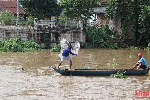 An Giang: Sôi động mùa nước nổi, cá ra sông
