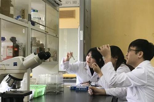 Nữ sinh viên xuất sắc được tuyên dương Giải thưởng Nữ sinh KHCN Việt Nam