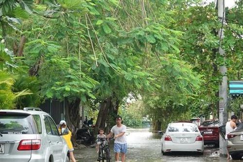 Đà Nẵng: Nhiều cử tri kiến nghị giải quyết ngập úng đô thị