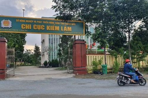 Thu hồi gần 1 tỷ đồng sai phạm tại Chi cục Kiểm lâm tỉnh Quảng Ngãi