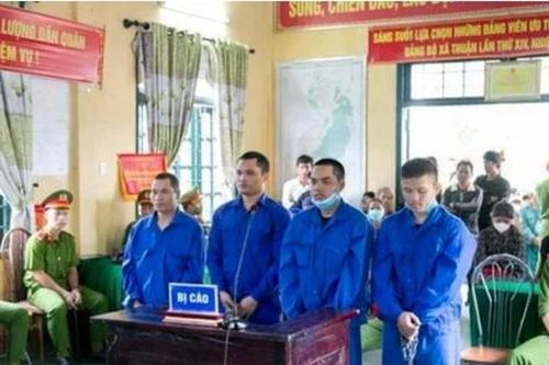 Vận chuyển ma túy, 3 thanh niên cùng thôn lĩnh án tử hình