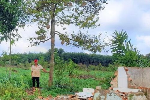Lãnh đạo TP Buôn Ma Thuột lên tiếng vụ nhiều hộ dân không được hỗ trợ, đền bù