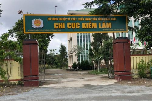 Chi cục Kiểm lâm Quảng Ngãi bị thu hồi gần 1 tỷ đồng