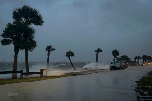 Mỹ: Chính quyền bang Florida khẩn trương ứng phó với bão Nicole