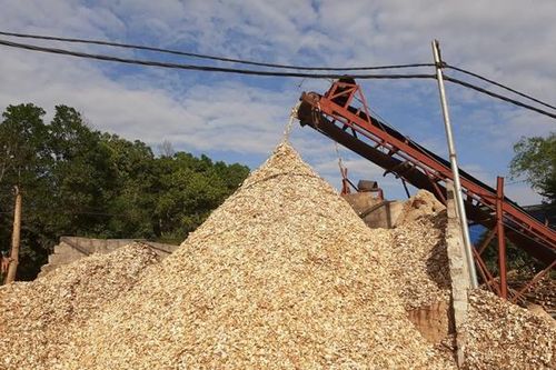 Bài 2: Các F1, F2 trong chuỗi cung ngành dăm gỗ nói gì?
