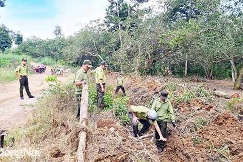 Không được cấp sổ đỏ cho hộ nhận khoán rừng phòng hộ
