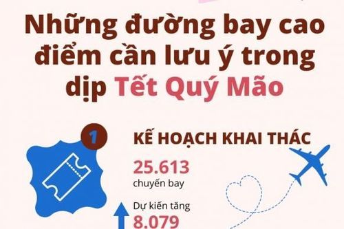 Những đường bay cao điểm cần lưu ý dịp Tết Quý Mão