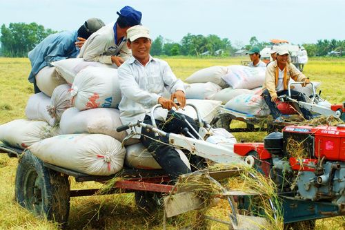 Sửa Luật Hợp tác xã: Cần chính sách ưu đãi mạnh mẽ, trọng tâm hơn